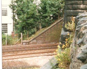 20200409_154317.jpg
