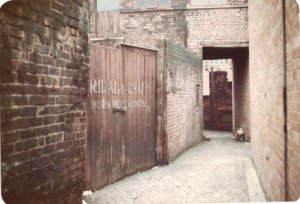 West St Alley 2 Dec 1983.jpg