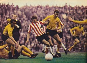 10334381_465118886957057_3173944458104457043_n.jpg 10334381_465118886957057_3173944458104457043_n.jpg