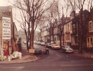Gatefield Rd  Dec 1982.jpg