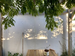 5D17D1CD-6590-42BC-9CA9-5DDB3E9AB116.jpeg