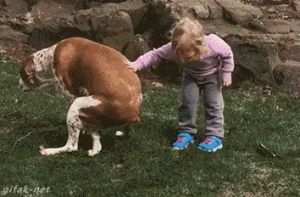 tenor (12).gif tenor (12).gif