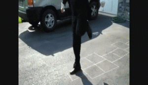 chasing a chicken.gif