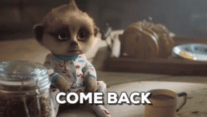COME BACK.gif