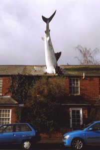 Headington shark-Oxfordshire.jpg