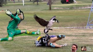 20200807071928.jpg