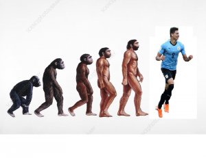 evolution.jpg