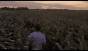 1597575189575.gif
