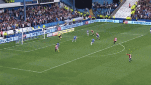 F7E70CE8-B5FC-4B37-878D-CB7444FA32D6.gif