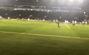 wilder.gif