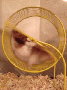 1597907415284.gif