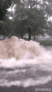 1598360258423.gif