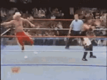7867E919-949F-4242-84CE-B439F4DD0214.gif 7867E919-949F-4242-84CE-B439F4DD0214.gif