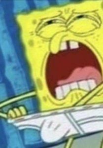 SPONGEWANK.jpg