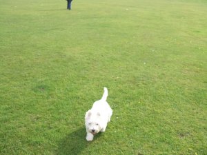 aunty janes pictures 007.JPG