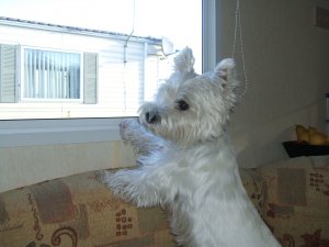 aunty janes pictures 026.JPG