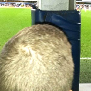 Terrible view.jpg Terrible view.jpg