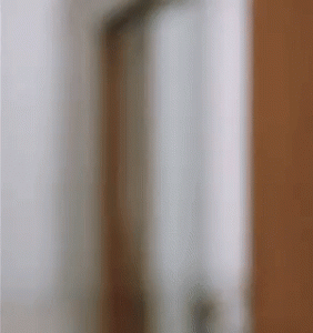 BlandConstantKite-size_restricted.gif