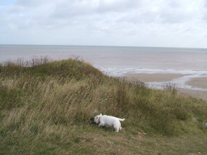 aunty janes pictures 013.JPG