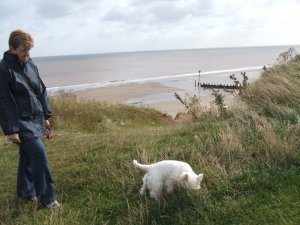 aunty janes pictures 011.JPG