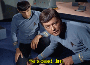 giphy-1.gif