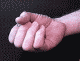 mem046931.gif
