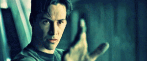 LimitedAnnualIcterinewarbler-small.gif