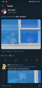 Screenshot_20200929_150838_com.twitter.android.jpg