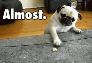 64F5C5B0-F0E6-48C8-95D3-CD34C01CCDBD.gif