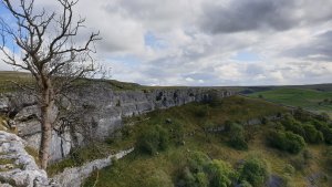 20201001_130039.jpg