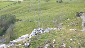 20201001_130351.jpg