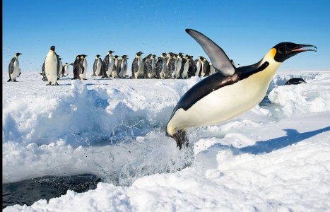 Screenshot_20201107-134529_Chrome.jpg
