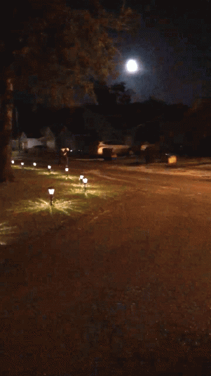 Naruto_Run.gif