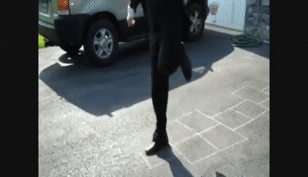 chasing a chicken.gif