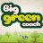 Big-Green-Coach