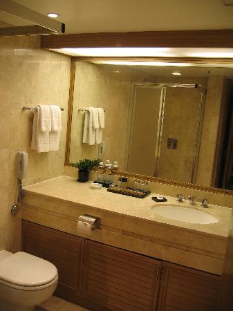 lavatory-in-my-suite.jpg
