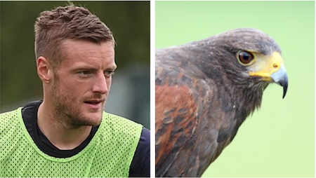 vardy.png