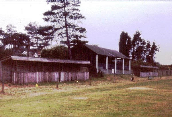 1260047324_7.jpg