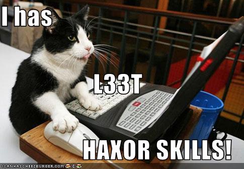L33t_haxor_skills.jpg