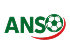 www.allnigeriasoccer.com
