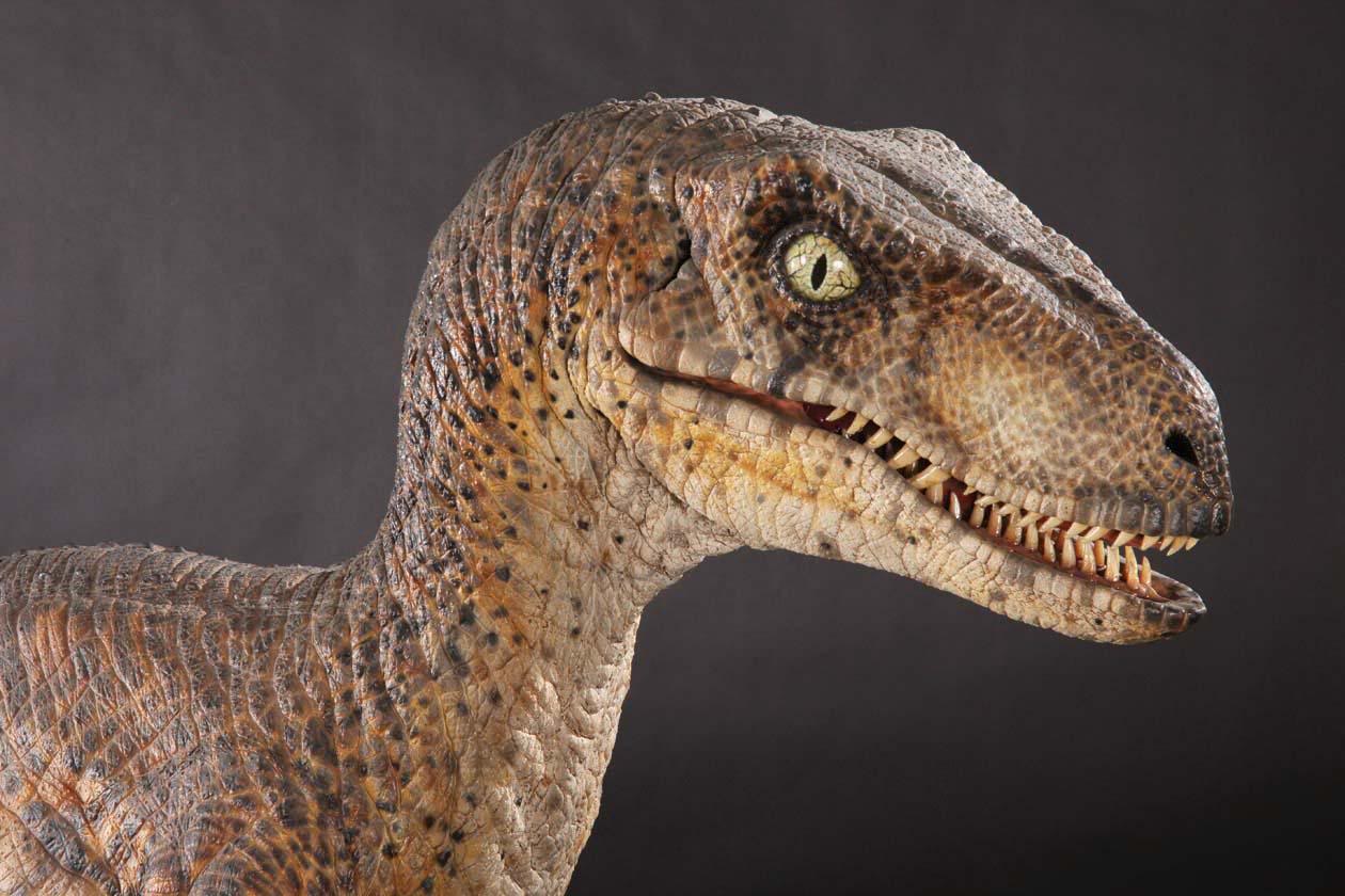 velociraptor.jpg