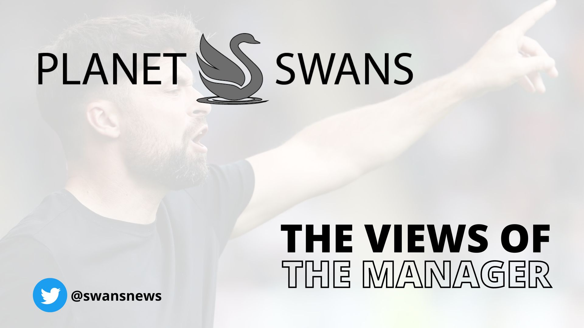 planetswans.co.uk