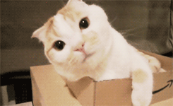 source.gif