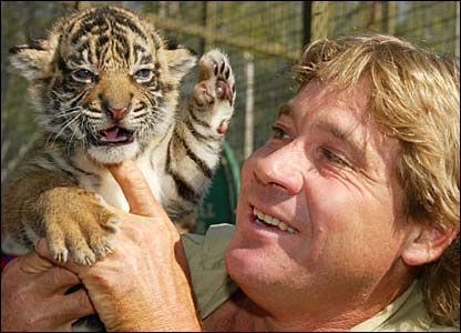 _42046896_irwintiger_picgall.jpg