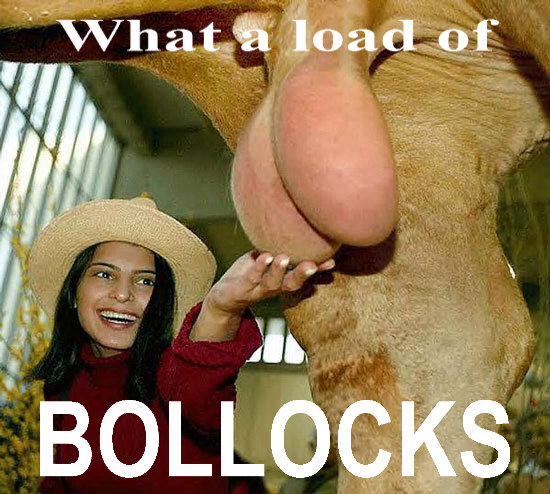bollocks.jpg