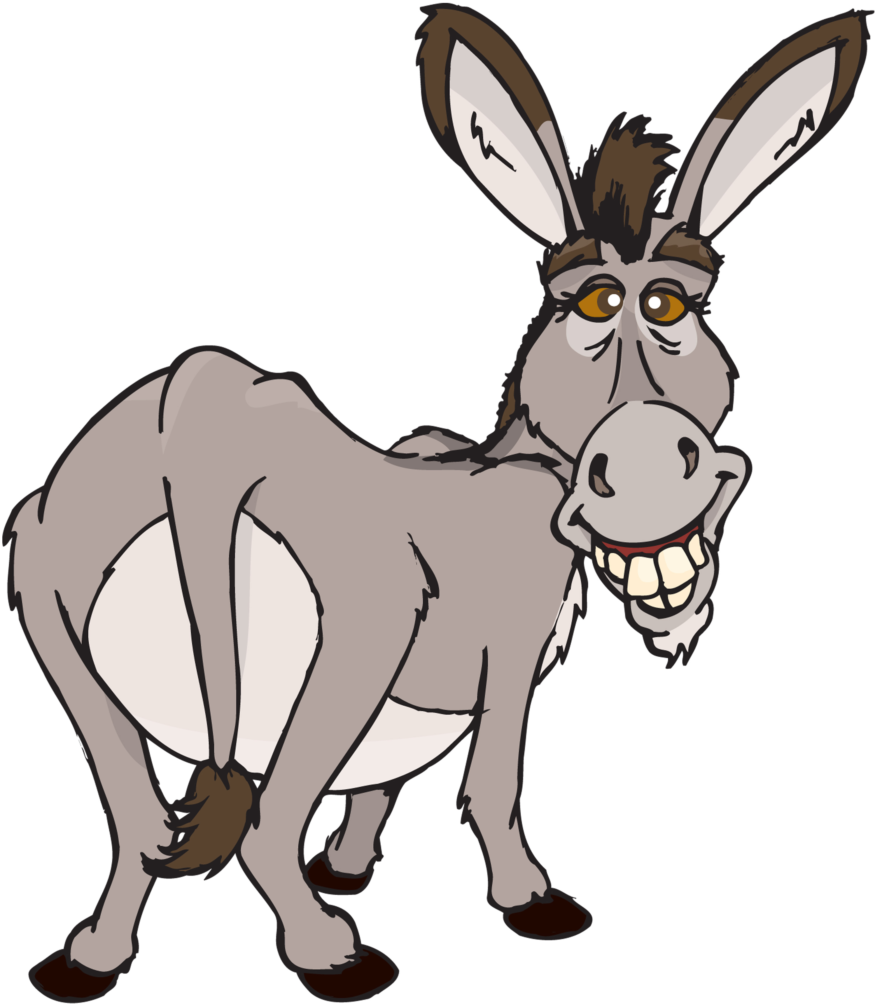donkey.jpg
