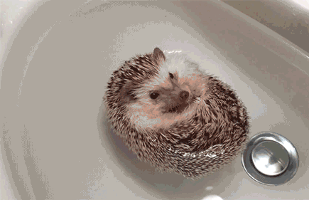 oJr.gif