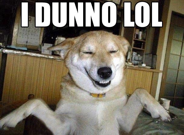dunnololdog.jpg