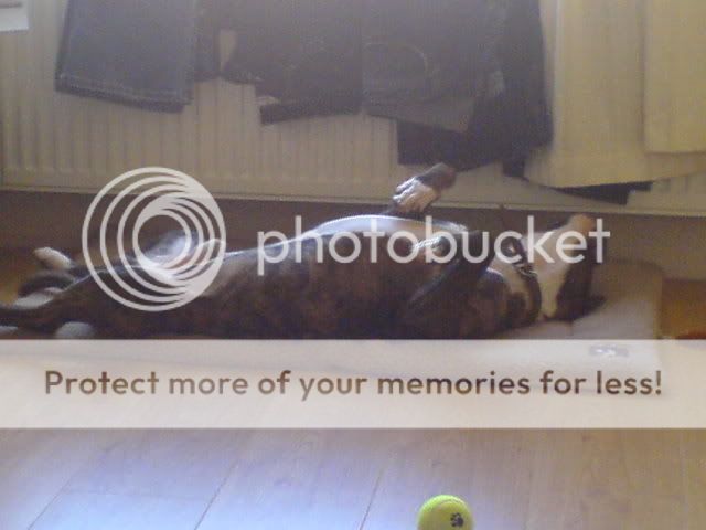 DSC00028.jpg