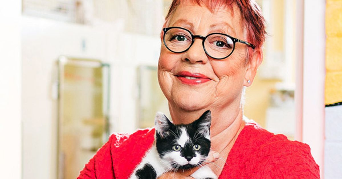 Jo-Brand-MAIN.jpg